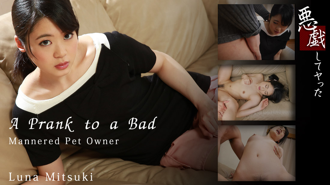 ดู JAV HZ-1196 เรื่องตลกของเจ้าของสัตว์เลี้ยงที่นิสัยไม่ดี ไม่เซ็นเซอร์ - JAV UNCEN