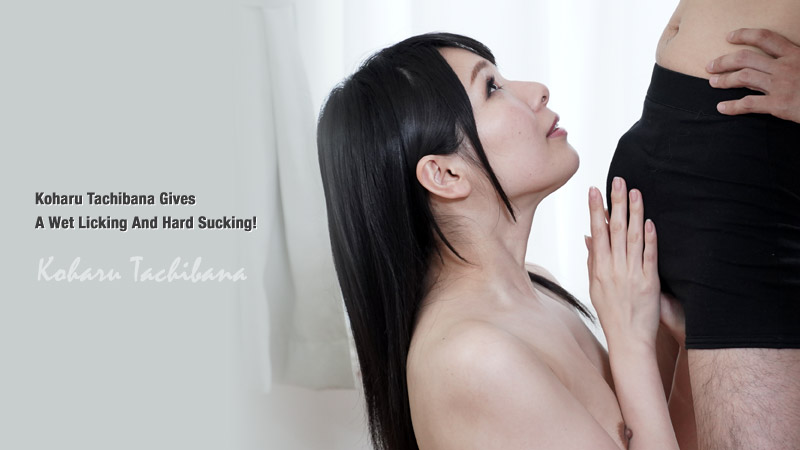 ดู JAV HZ-2969 โคฮารุ ทาจิบานะ เลียอย่างเปียกโชกและดูดอย่างหนัก! – โคฮารุ ทาจิบานะ ไม่เซ็นเซอร์ - JAV UNCEN